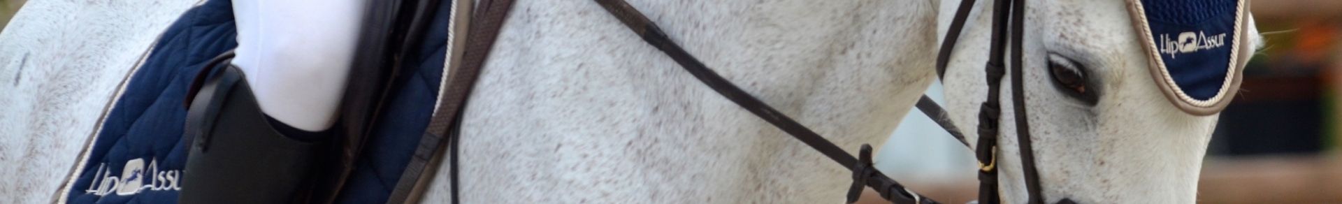 Responsabilité civile équidé