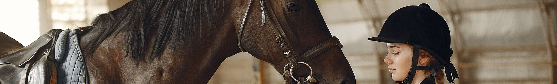 Assurance des cavaliers par Hipassur